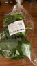 【24小时菜】菠菜苗250g(长度≤20cm) 实拍图