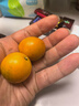 京鲜生 广西滑皮金桔 1.8斤 单果13g起 桔橘新鲜水果礼盒 源头直发包邮 实拍图