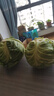 京鲜生山东新鲜绿甘蓝净重5斤单果200g+卷心菜甘蓝新鲜蔬菜 源头直发 实拍图