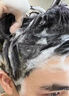 韩方五谷洗发水男女士去屑止痒控油持久蓬松二硫化硒洗头膏洗发露液第1名 晒单实拍图