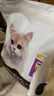 冠能猫粮幼猫猫粮3周-12月龄1.5kg 全价猫粮 添加牛初乳 增肥发腮 实拍图