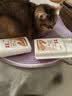 X5宠物消毒液猫瘟犬瘟细小杀菌消毒液狗狗猫咪专用家用喷雾水拖地 500ml1瓶 实拍图