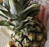 佳农 菲律宾进口菠萝 2个装 凤梨 单果净重2斤 生鲜水果源头直发 包邮 实拍图