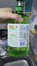 立白茶籽洗洁精2.9kgA类去污99%除菌去油不伤手洗涤灵洗碗液随机发货 实拍图