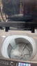 美的（Midea）随心洗 波轮洗衣机全自动 6.5公斤 小型租房用 专利免清洗 MB65V36E 以旧换新 京东自营 实拍图