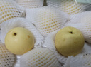 京鲜生 河北皇冠梨 净重4.5斤 单果200g+ 国家地标产品 生鲜水果礼盒 实拍图