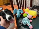 宜特（EETOYS）绿色网球狗狗玩具发声互动可水洗洁齿球宠物用品 实拍图