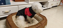 SLPC狗狗衣服中小型犬柯基泰迪保暖冬装博美小狗棉服马甲金毛大狗衣服 红 XXL建议14到18斤 实拍图