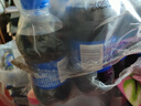 百事可乐Pepsi 碳酸饮料汽水 300ml*24瓶 小瓶整箱装 春节年货 企业团购 实拍图