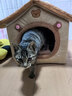 阿柴与猫封闭式猫窝大房子小型犬狗窝睡觉猫狗屋可拆洗四季通用宠物窝 实拍图