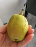 京鲜生 新疆库尔勒香梨 净重5斤 一级 单果100g-120g  生鲜水果 实拍图