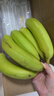 佳农 进口大把香蕉净重2.4斤 家庭装 生鲜水果 源头直发 包邮 实拍图