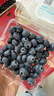 怡颗莓Driscoll's云南蓝莓14mm+ 4盒装 约125g/盒 新鲜年货水果 实拍图