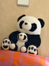 熊猫熊大熊猫毛绒玩具女孩熊猫玩偶娃娃公仔花花抱抱熊儿童毕业礼物男孩子布娃娃女生生日礼物女送女朋友同学陪睡觉抱枕仿真布偶小号创意摆件30cm 实拍图