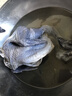 温氏 供港白凤乌鸡1.6斤 冷冻 月子鸡汤材料 100天以上 十全 乌骨鸡 实拍图