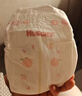好奇（Huggies）铂金装小桃裤纸尿裤L76片(9-14kg)大号尿不湿【透爽散热】 实拍图