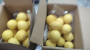 京鲜生 安岳黄柠檬16粒 单果95g起 生鲜水果 实拍图