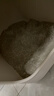 pidan混合猫砂 木薯膨润土40%:60% 2.4kg*4包整箱结团遮臭皮蛋自营猫砂 实拍图