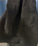 茉寻【杨颖同款】棉裤袜女秋冬季保暖秋裤打底裤加绒加厚连裤袜 【单条-烟灰色】踩脚款 均码 超厚绒（适合-5-10℃） 实拍图