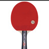 双鱼乒乓球拍横拍单拍 3星三星球拍初学训练用 3D-C 附拍套 实拍图