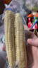 爷爷的农场儿童拇指小玉米400g(6-8根) 宝宝儿童早餐零食杂粮拇指白糯玉米 实拍图