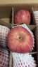 洛川苹果陕西延安特产红富士时令苹果水果礼盒送苹果生鲜新鲜脆甜整箱批发 5斤80-85mm（净重4.5斤）大果 实拍图