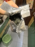 一杯香茶叶绿茶明前碧螺春花果香50g 2025新茶春茶散装自己喝 实拍图