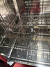 康宝（Canbo）消毒柜家用小型消毒碗柜高温立式迷你台式餐具碗筷收纳柜厨房消毒机【政府补贴】XDR53-TVC1 实拍图