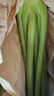 京鲜生山东新鲜大西芹净重4.5斤榨汁现挖芹菜鲜嫩蔬菜 去半叶源头直发 实拍图