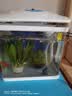 森森（SUNSUN）鱼缸水族箱生态桌面金鱼缸玻璃小型客厅制氧过滤免换水家用缸 高清玻璃 230白色标配 （带20件套） 实拍图