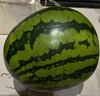 京鲜生 麒麟无籽西瓜 1粒装 净重5-7斤 生鲜水果 实拍图