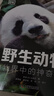 DK科普百科野生动物精装全彩高清版亲子共读DK权威百科全书动物百科儿童科普读物生物动物书DK儿童百科全书 实拍图
