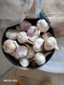 【百万单爆品】紫白皮蒜水果大蒜超市生鲜蔬菜调料即食蒜 【优选】 1斤 单果3.5-5cm 实拍图