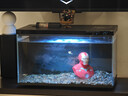 米家智能鱼缸水泵大流量 模块设计易拆洗 净滤杂质助力水质高效清洁 实拍图