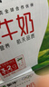 蒙牛全脂纯牛奶250ml*24盒 家庭量贩 年货礼盒 部分地区10月产 实拍图