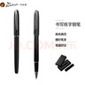 毕加索（pimio）钢笔 签字笔 财务特细0.38mm 商务办公礼品 成人学生练字 男女新年礼物 马拉加系列916幕日灰 实拍图