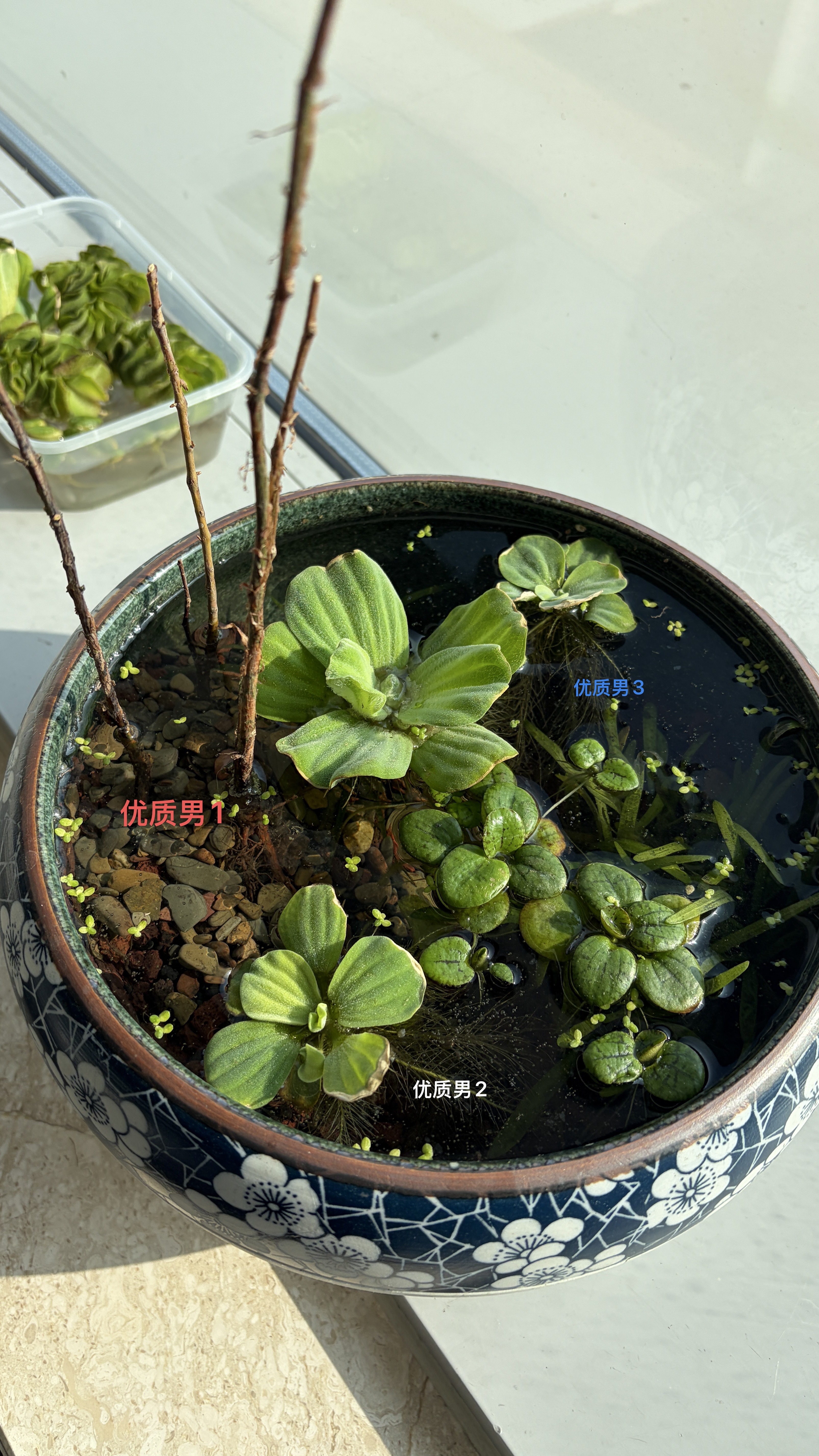 哈肉联哈尔滨红肠正宗东北特产熟食礼盒 节日送礼 企业团购腊味礼盒 品味礼盒2358g 实拍图