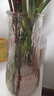 玻璃花瓶透明植物插花瓶水培容器大花瓶装饰客厅摆件 透明水波纹（17*5.5*8） 1个装 实拍图