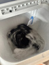 小天鹅（LittleSwan）双桶双缸洗衣机半自动 12公斤大容量 强力去污洗大件 节能 TP12S156 以旧换新 国家补贴 一级能效 实拍图