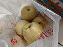 京鲜生 精选砀山梨老树酥梨5斤 单果重250-400g 水果 实拍图