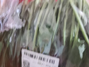 【24小时菜】菠菜苗250g(长度≤20cm) 实拍图