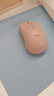 罗技（Logitech）M221轻音鼠标 无线鼠标 办公鼠标 对称鼠标 带无线微型接收器 茱萸粉 实拍图