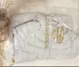 坦博尔【店铺推荐】羽绒服女连帽轻薄短款修身轻便冬季外套TBF310218D 浅云白 M (165) 实拍图