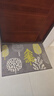 大江 入户地垫进门脚垫进户门玄关门口地垫入户门60x90cm 落叶 实拍图
