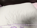 康尔馨希尔顿五星级酒店枕头 抗菌纯棉纤维枕成人家用单人枕头芯 白色 中枕(74*48cm) 一对 实拍图