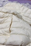 雪中飞羽绒内胆女轻薄羽绒服女短款新款内搭外穿修身 白色 XL (170) 实拍图