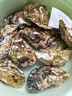 贝司令 鲜活乳山生态生蚝4XL 净重4斤 8-11只 生鲜源头直发年货送礼 实拍图