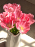 京东鲜花跨晚同款-郁金香鲜花10枝盲盒款（品种随机）源头直发 实拍图