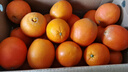 玖原农珍 赣南脐橙新鲜橙子含箱10斤净重9斤优选果150-300g 年货水果礼盒 实拍图