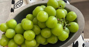 隆千采云南阳光玫瑰葡萄青提无籽香印提子 新鲜水果中秋节水果礼盒装 5斤单果14-16g礼盒净重4.5斤起 实拍图